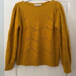 Women’s Loft Pointelle Sweater